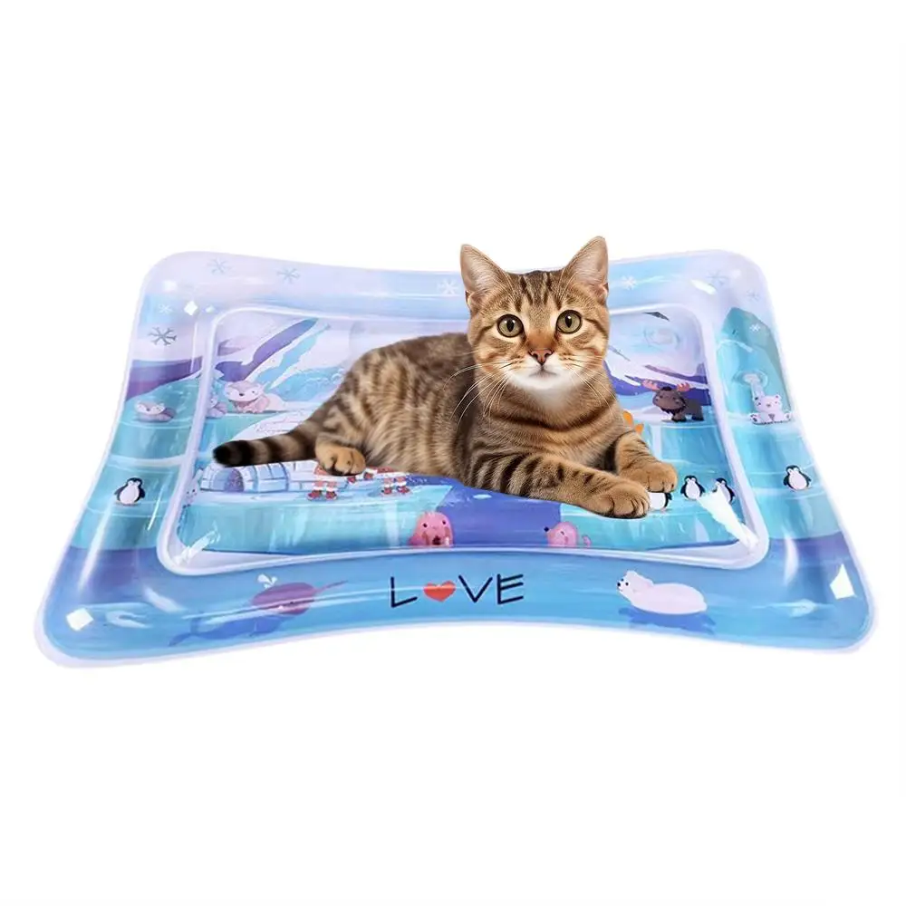 

Sensory Water Mat Sensory Water Play Mat For Cats Water Sensory Pad Thickened Water Sensory Playmat Pet Play Sensory Toy Water