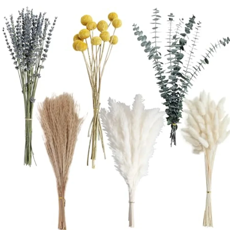 Dried Pampas Grass Bouquet Boho Pampas Grass Decor for Home, Vase Fillers and Wedding — Natural Dried Flowers, Tall Pampas Gras