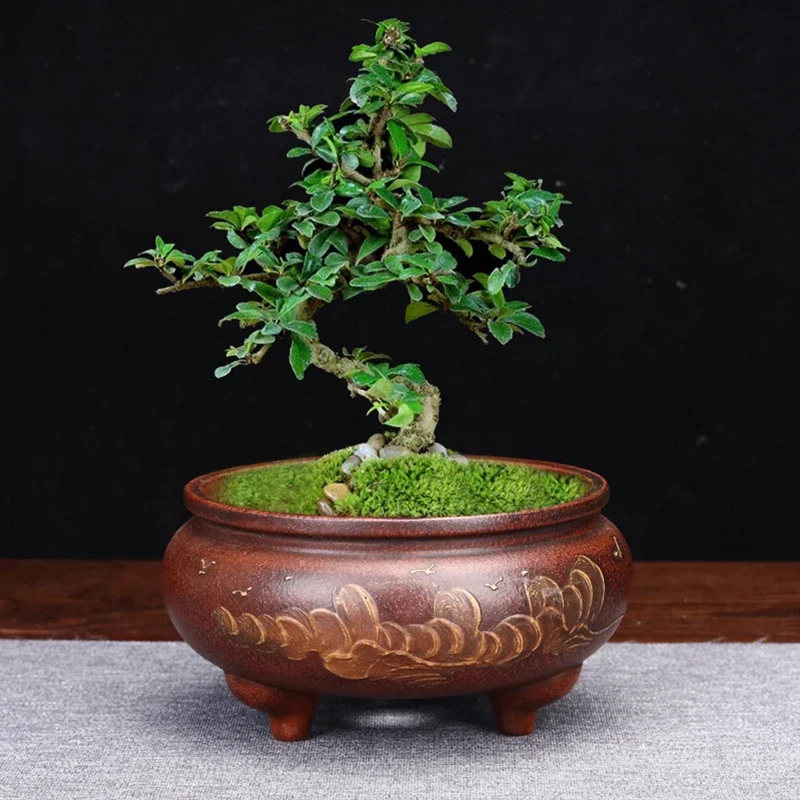 Chiński styl antyczne purpurowa glina doniczka Tabletop zielone rośliny doniczka do Bonsai malarstwo Handmade Macetero Vintage doniczki De Fleurs