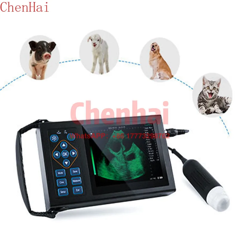 

Hand Held Medical Diagnosis Farm And Pet Clinic B/W Ultrasound Machine Portable Veterinary Ultrasound