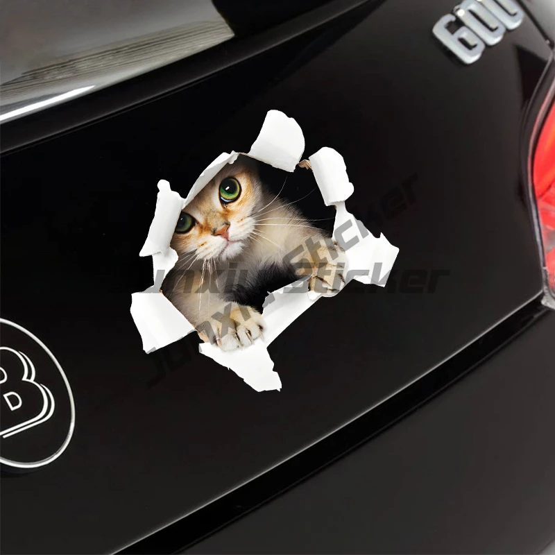 

Effect Cat Motorcycle Stickers Waterproof Motorbike Fuel Tank Helmet Decor Car Window Sunscreen Funny Animal Vinyl Decals