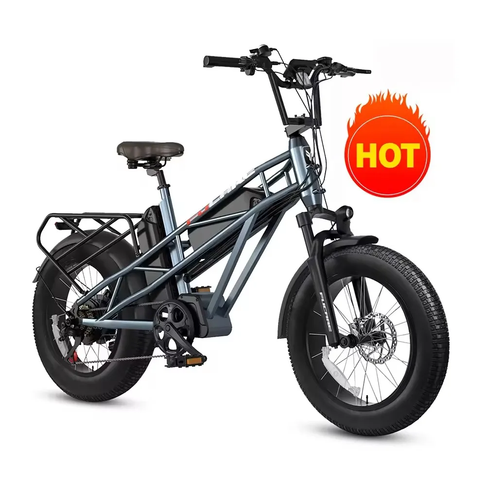 Electric Bicycle