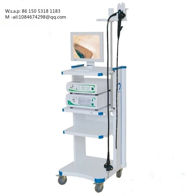Manufacture Price Portable Electric Video  Gastroscope CE Certification Plastic 480,000 Pixels Resolution Full Screen