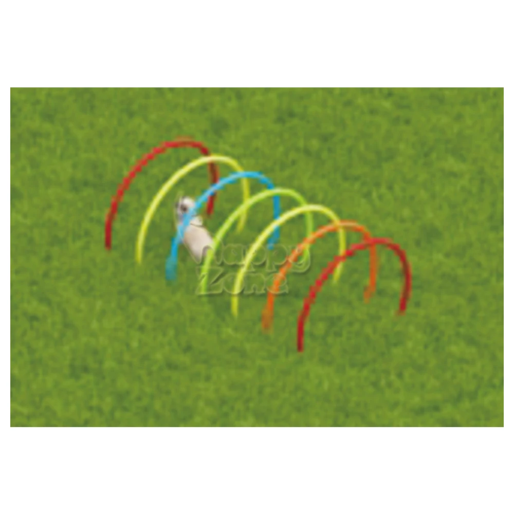 Pet Agility Training Games Course Interaktives Training Outdoor Hindernis Haustier Outdoor-Spielgeräte mit Edelstahlrahmen