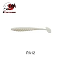 PA12