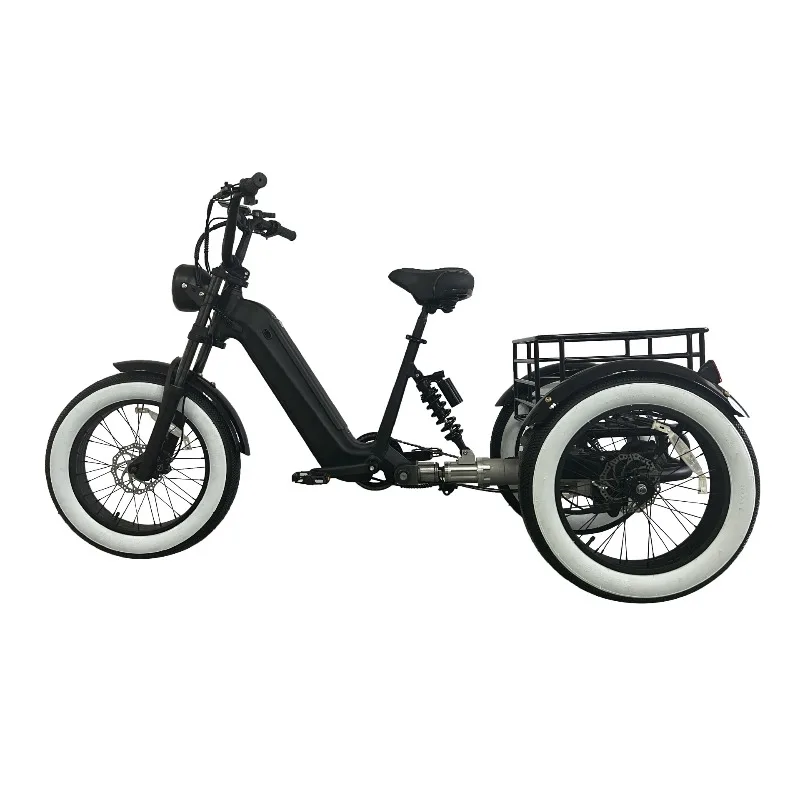 Electric swing wide tire car front and rear hydraulic disc brake tumbler tricycle