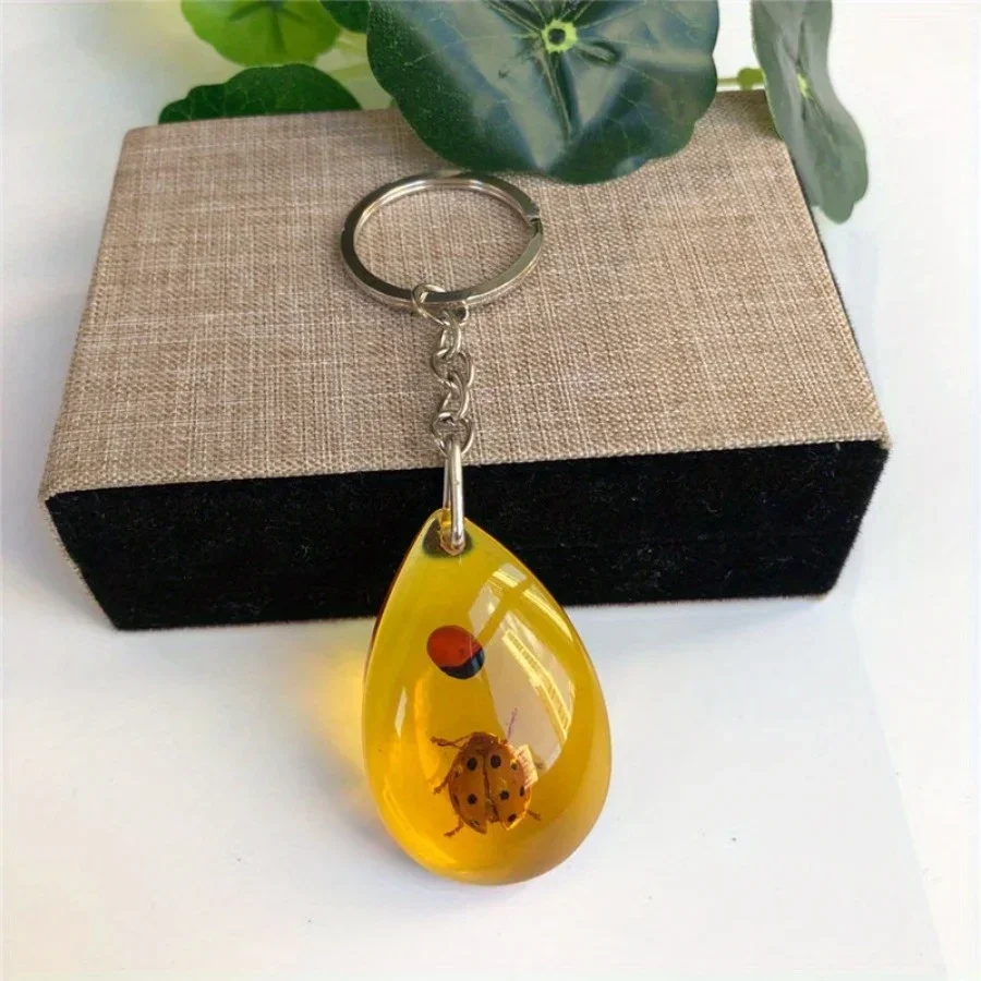 1PC Insect Specimen Amber Keychain Hanging Small Gift Car Key Bag Keychain Hanging Ornament