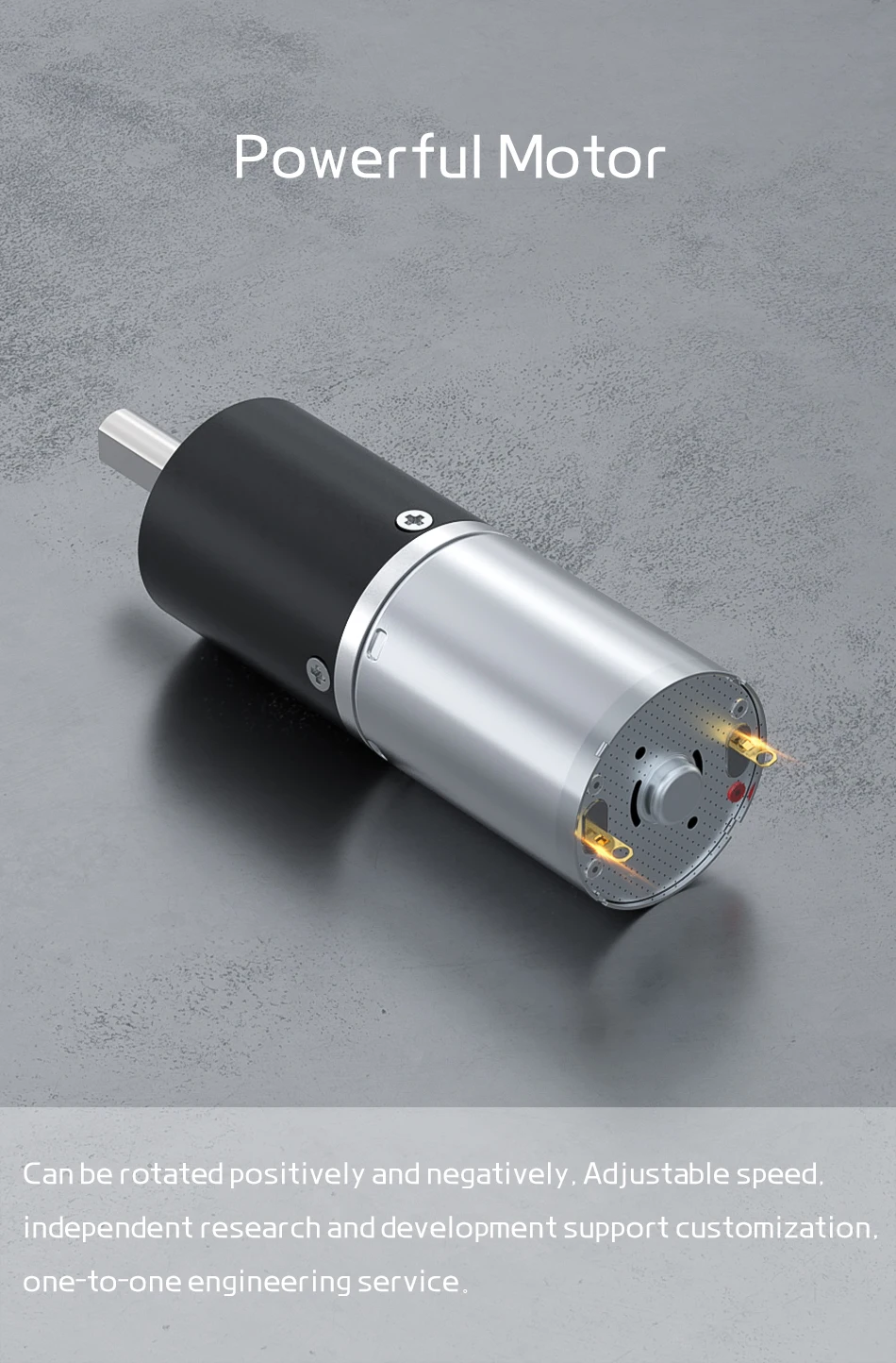 GA24Y-370 Miniatur-Planetengetriebemotor 6V12v24V Geschwindigkeitsregelung Vorwärts und Rückwärts 17RPM-2125RPM Untersetzungsgetriebe Kleiner Motor – Detail 12