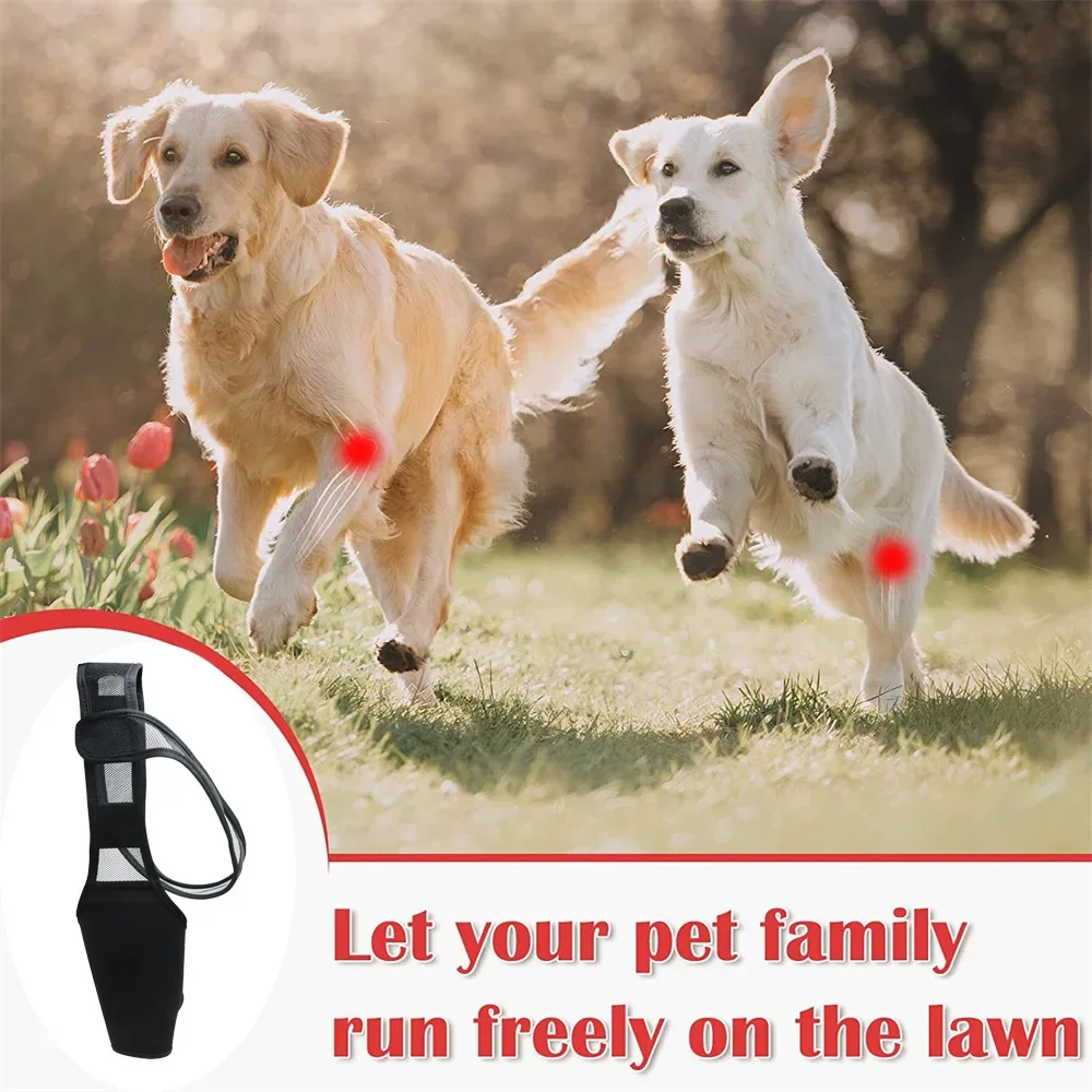 Pet Dog Knee Brace for Joint Pain Muscle Sore Leg Brace Rear Leg Bracer Support for Elderly Disabled Injured Dogs Knee Brace