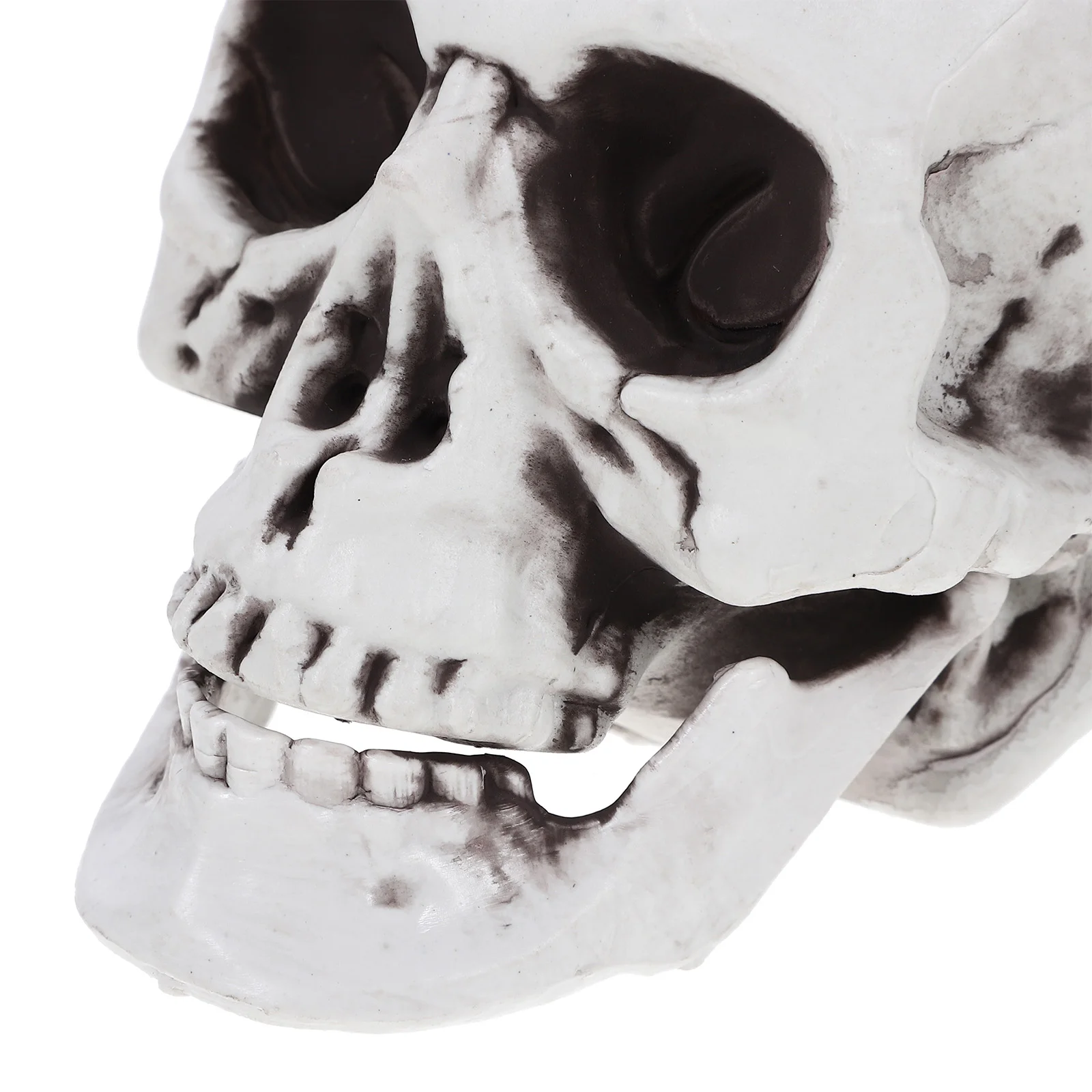 

4 Pcs Skull Ornaments Totenkopf Outdoor Lebensgross Halloween Grosser Grey Geisterhaus Garten Office