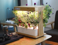 Indoor Smart  Herb Garden Hydroponic Growing Systems for Home
