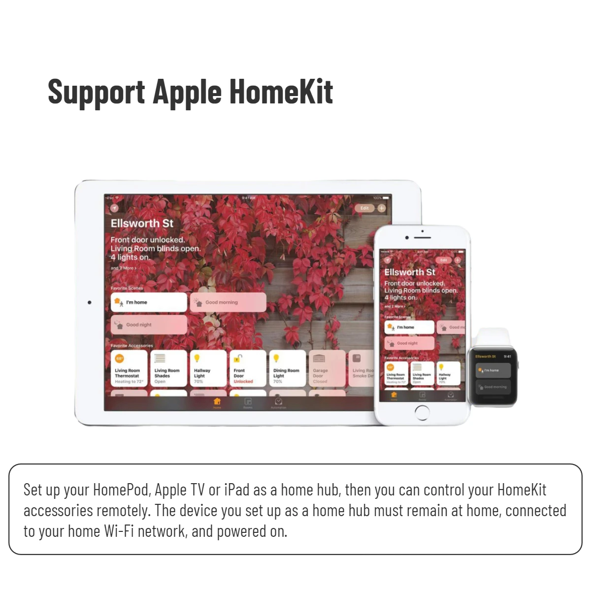 Homekit-スマートプラグ,EU,16A,ハイパワーコンセントアプリ,リモコン,音声制御,Alexa,Google,alice,Siriと互換性があります