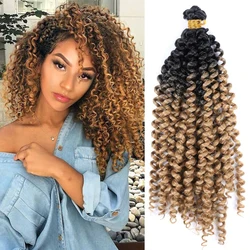 Synthetic Afro Kinky Curly Braiding Hair Ombre Water Wave Crochet Hair Fluffy Afro Curls Bulk Hair Extensions For Daily Cosplay