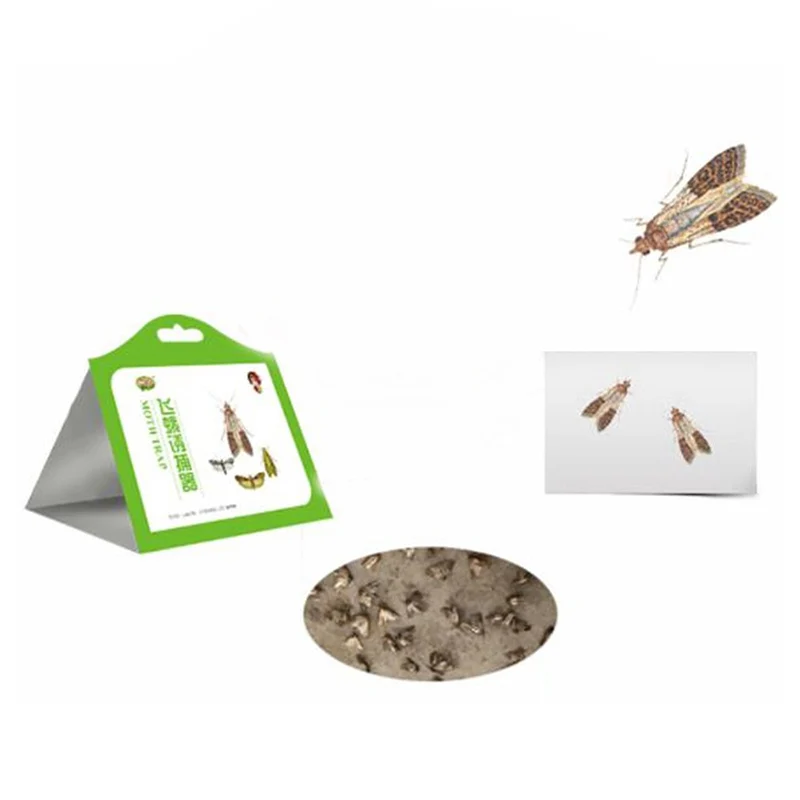 5pcs/bag Insecticide household cleaning green moth trap insecticidal trap sticker Moth trap