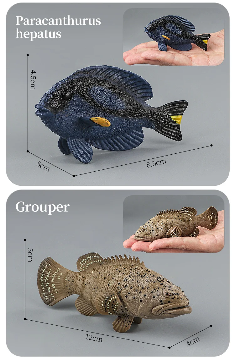 Meeresleben-Tiere-Modell, Actionfiguren-Set – Ozeanfisch, Thunfisch, Segelfisch, Bass, Zacker, Lachs, PVC, Lernspielzeug für Kinder – Detail 22