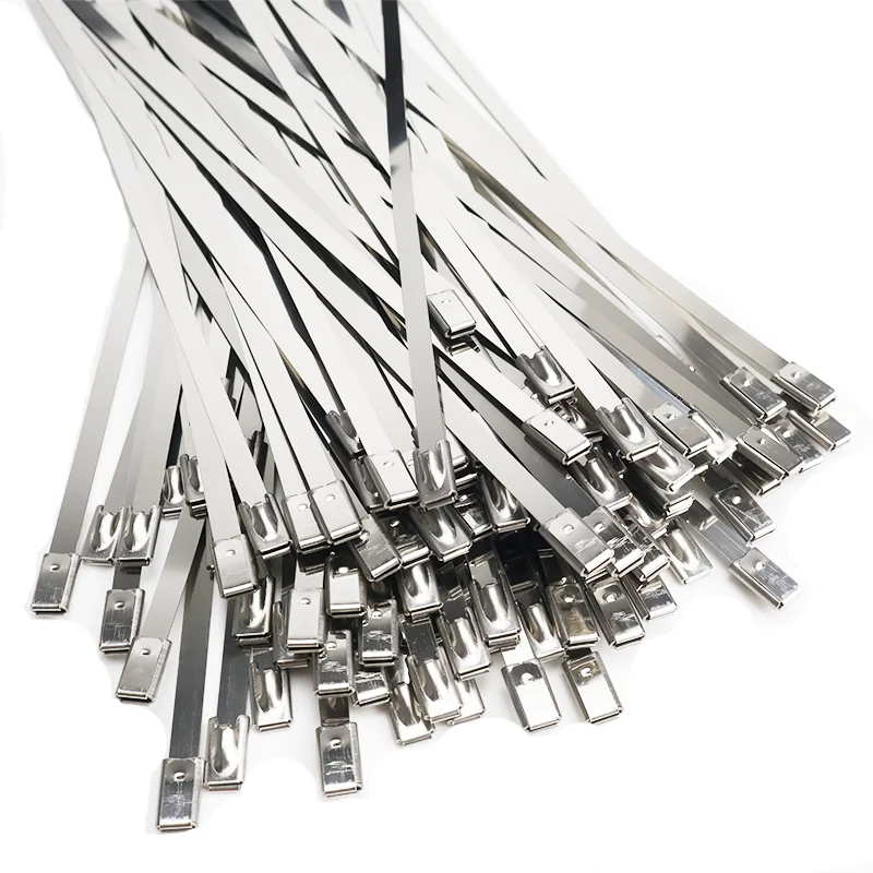 304 Stainless Steel Cable Tie 4.6×200mm Corrosion-Resistant Self-Locking Metal Tie for  Electrical Fixing & Outdoor/Indoor Use