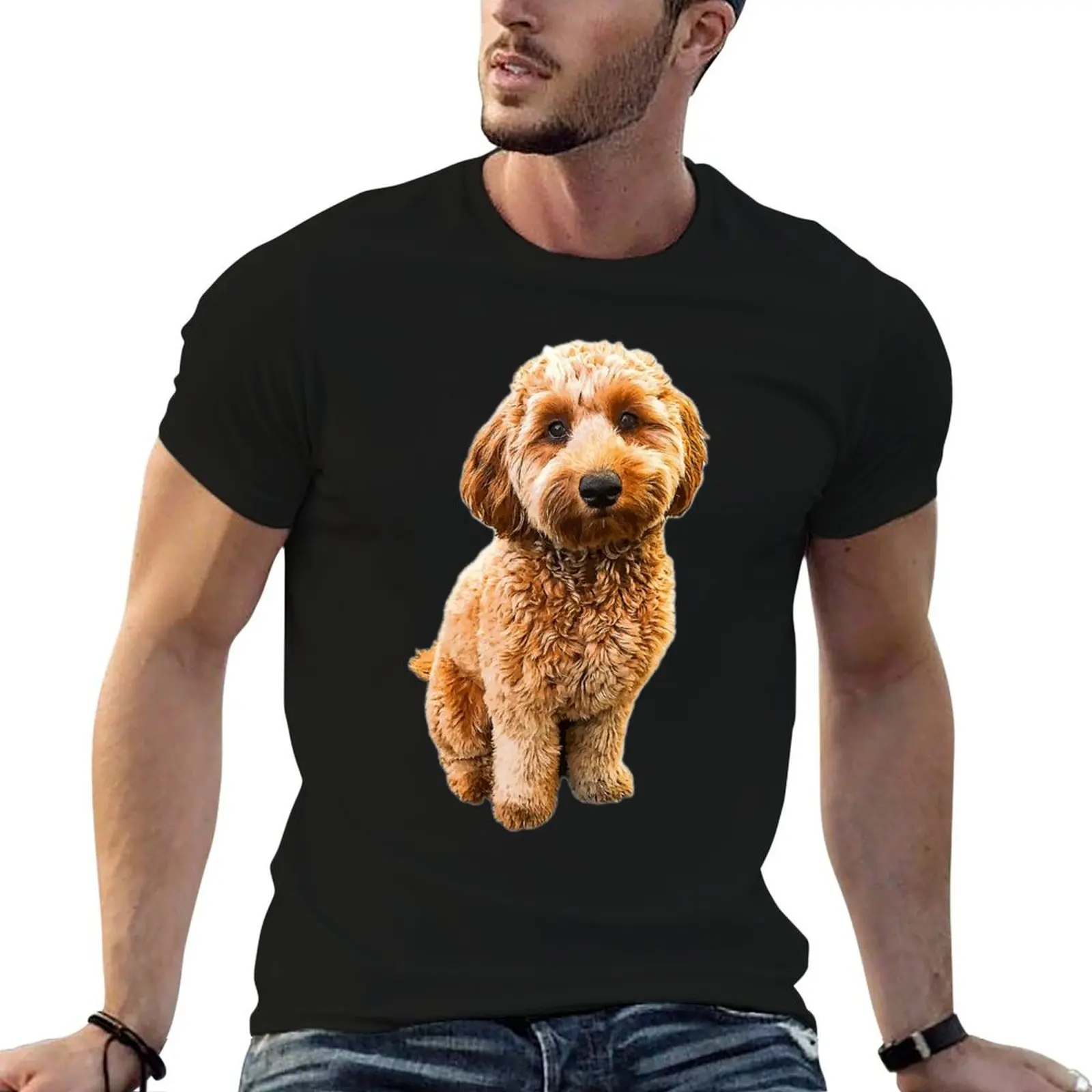 Camiseta Goldendoodle Puppy Dog Labradoodle Poodle mix x, camisetas divertidas de diseñador, camiseta de humor oscuro, camiseta lisa para hombre