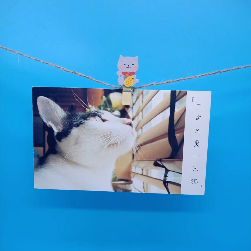 10pcs/lot Decoration Clips Wooden Hemp Rope Clips Mini Wood Clips Lovely Lucky Cat Paper Photo Clip Craft With