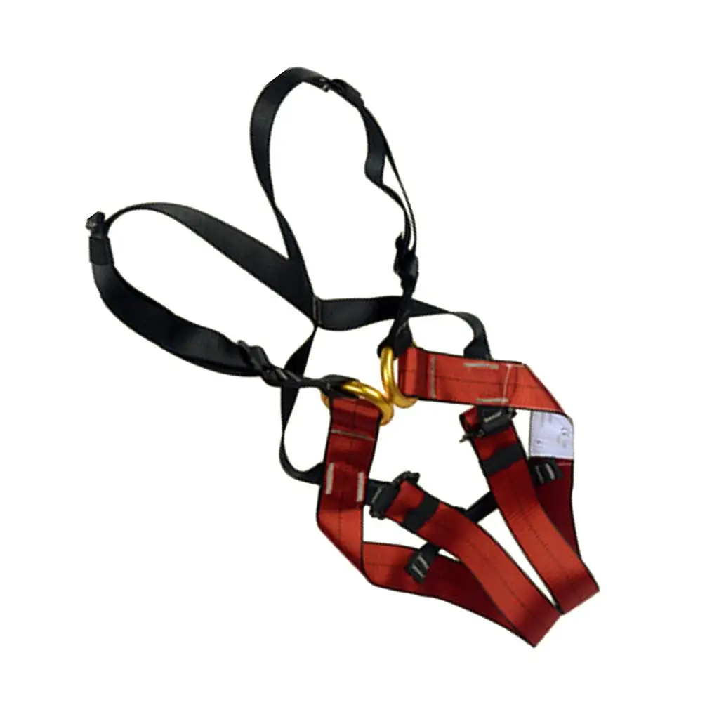 Mountaineering Rock Climbing Harness for Kids , Waist Leg Chest