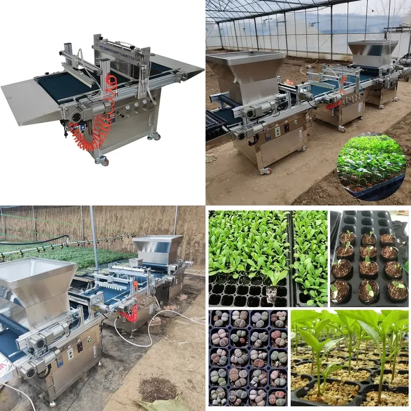 Automatic High Precision 98 Percent Seed Sowing Device for Tomato Seedling Sowing Machine 500 Plates Hour 12 Rows