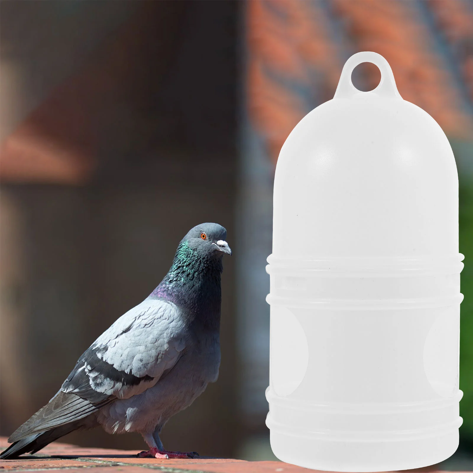 

2 Pcs Pigeon Drinker Water Dispenser Accessory Household Bird Fountain Plastic Quail Waterer Sturdy Convenient