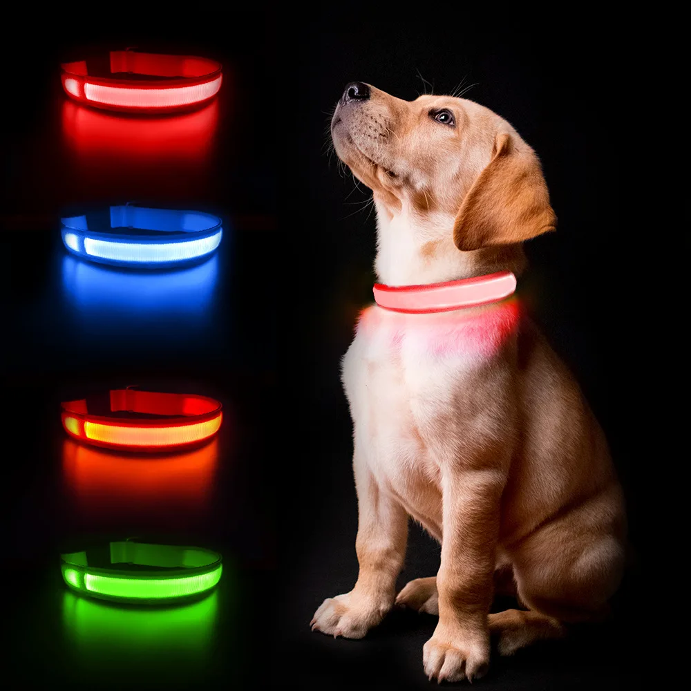 USB charging money Ring LED Night pet band Cool dog collar Light up durable flat optical fibers safe in the darkness