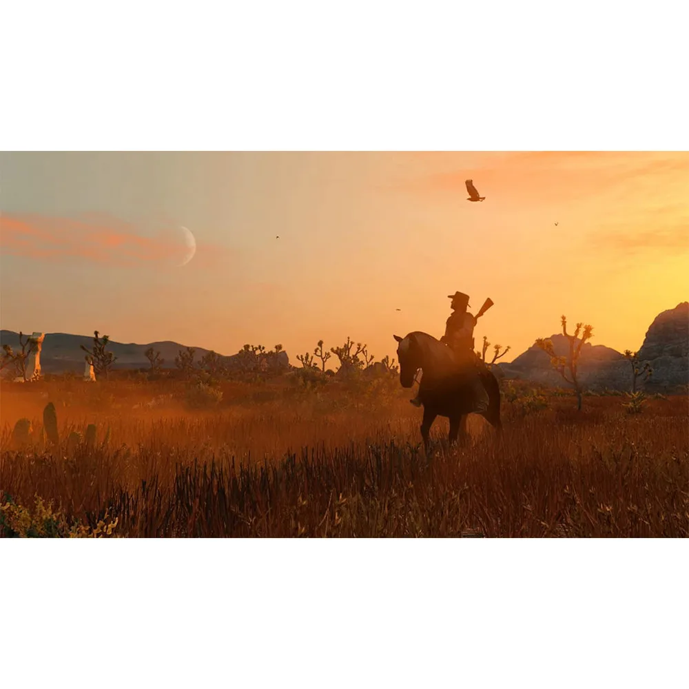 Red Dead Redemption نينتندو سويتش عروض الألعاب 100% الأصلي بطاقة الألعاب المادية عمل النوع 1 لاعب لوحدة تحكم ألعاب التبديل