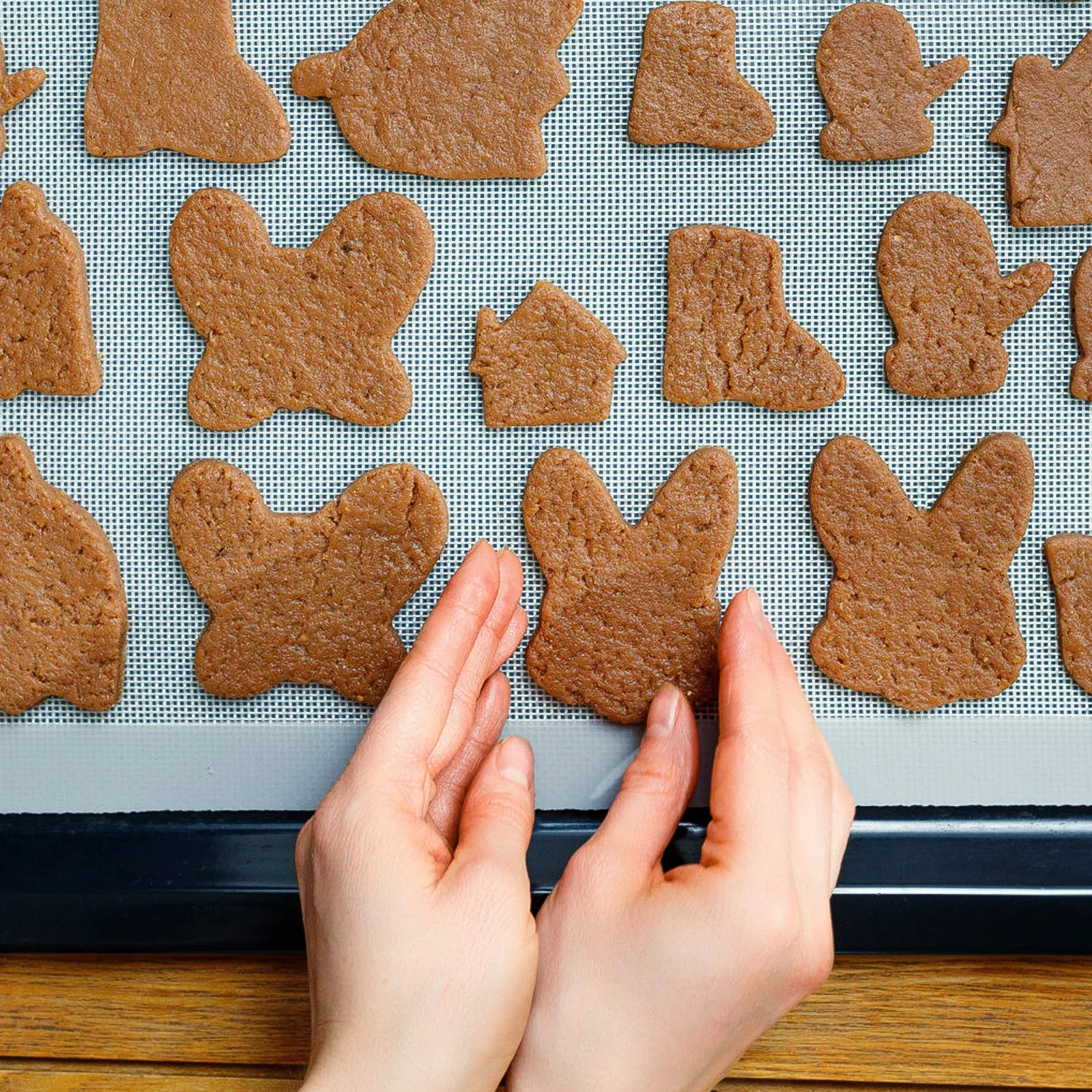 6 قطعة أوراق تجفيف غير لزجة بطانات مجفف الطعام مادة ممتازة سهلة الاستخدام صواني تجفيف الفاكهة شبكة مجفف