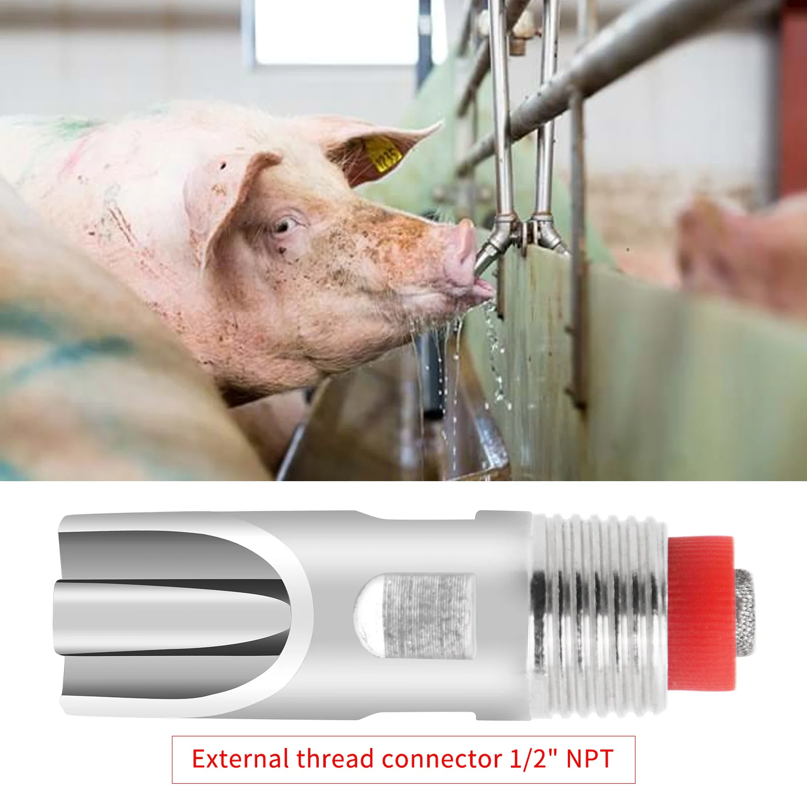 5/10Pcs Verdicken Edelstahl Schwein Schwein Automatische Nippel Trinker Waterer Brunnen Tiere Trinken Instrument Waterer Feeder – Detail 6