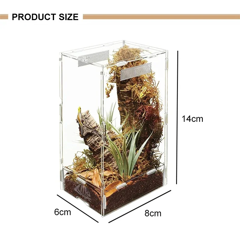 Plastic Reptile Iguana Snake Cages Terrariums Pet Box Small Rectangle Acrylic Reptile Cage