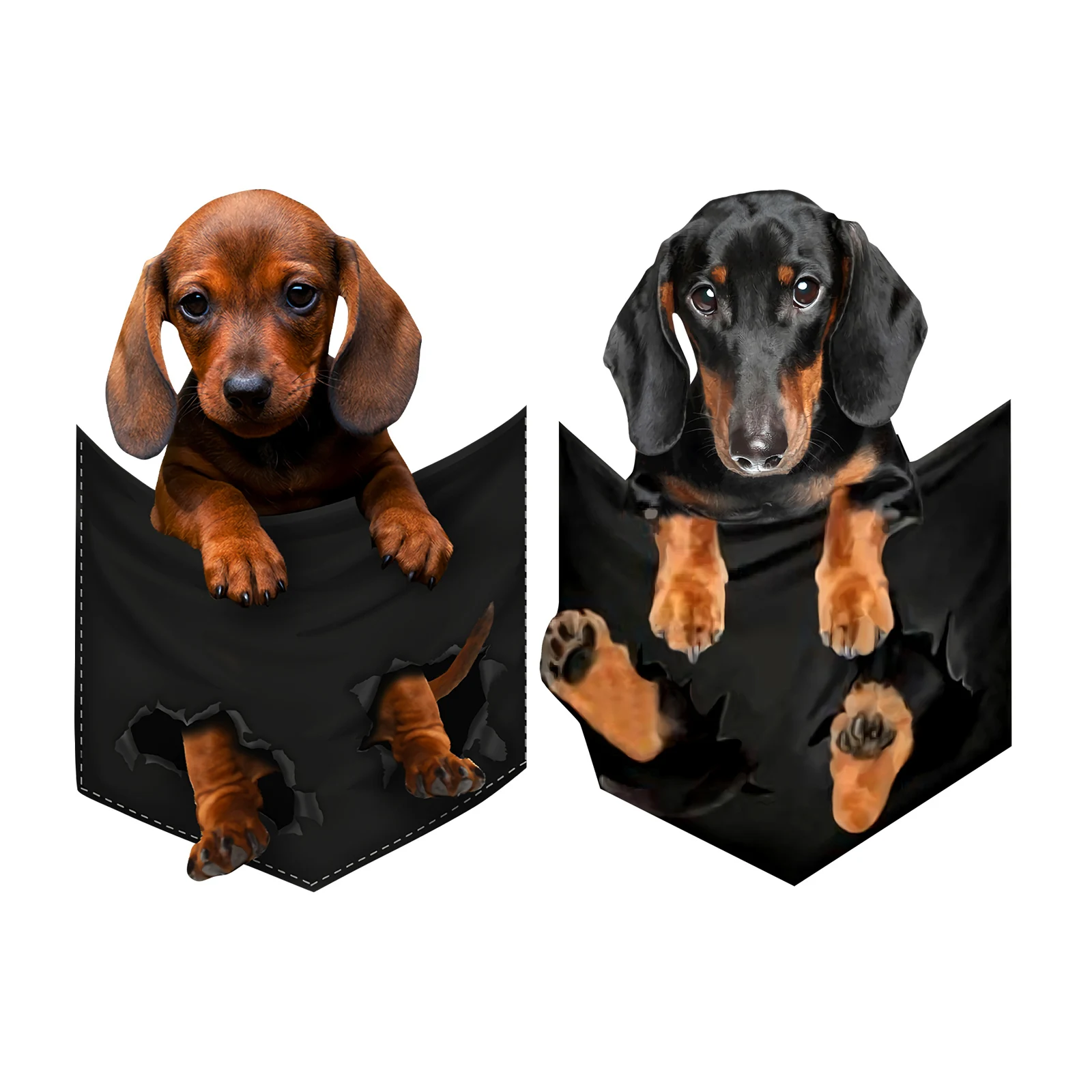 CLOOCL Dachshund In Pocket Stickers DIY Print T-shirt Accessories Parenting Lron on Patches Clothes Sticker Washable 5.5inch