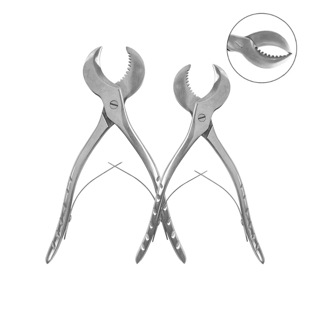 

Dental Stainless Steel Gypsum Scissors 16cm/20cm Dental Pliers for Precise Gypsum Model Forceps Instrument Dentistry Material