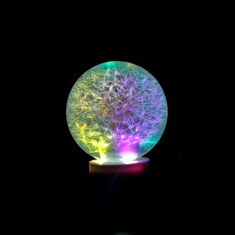 Universal 70MM/54MM Racing Crystal Ball Dandelion Real Flowers Gear Shift Knob Head Transparent DIY