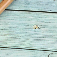 1Pc Bamboo Musical Instrument Bird Whistle Flute Mini Music Rhythm Sound Lark Bird Toys for Kids Holiday Gift Whistling Toy