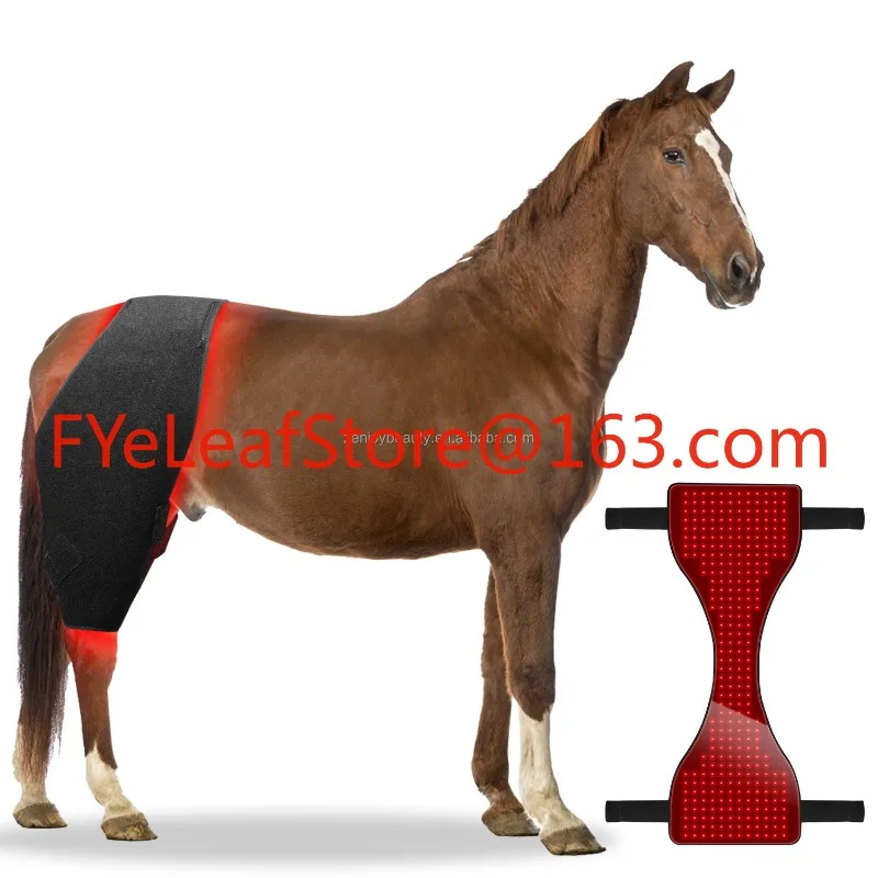 2025 Infrared Red Light Therapy 660nm 850nm Horse Pad  Blankets Equine Light Therapy  Rug for Animal