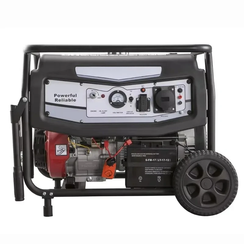 Generador Electrico 3KW 5KW 8KW 10KW Household Output Split Phase 110v 220v Hand Start Electric Power