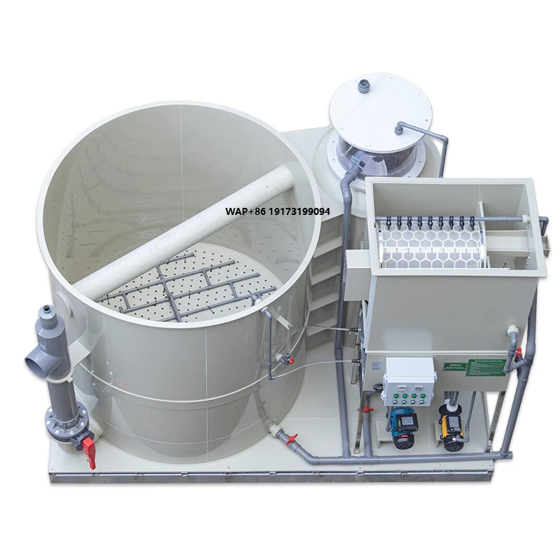 Qlozone Integrated System Aquaculture Equipment Tilapia Recirculating Water Treatment Ras System All in One for Fish Farming