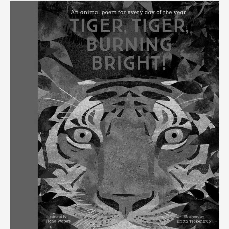 Britta TeckentrupTiger Tiger Burning Bright Fiona Waters Nosy Crow 9781788005678 Book