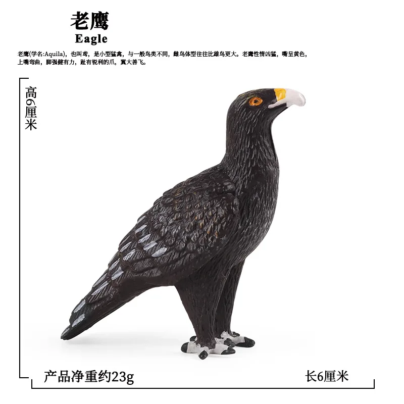 Children's science education Montessori teaching aids simulation birds solid model eagle parrot cognitive toy ornaments