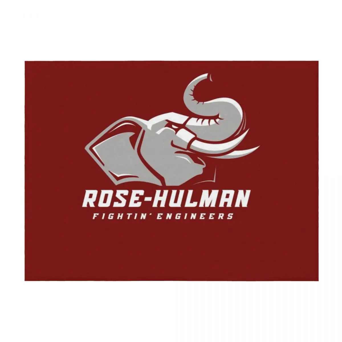 

The Rose Hulman Fightin' Engineers Throw Blanket Hair Moving Travel Hairys Blankets