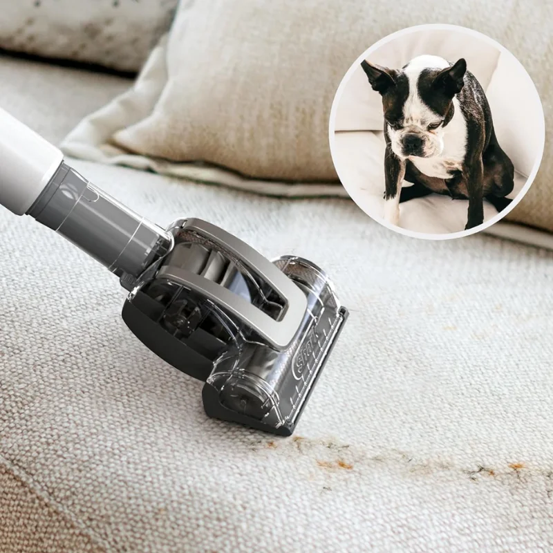 فلتر مكنسة كهربائية للبيع بالجملة، أداة شعر الحيوانات الأليفة، توجيه دوار، وكوب غبار كبير لتنظيف جميع الأسطح