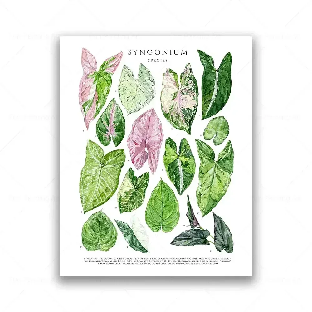2026 Botanical House Plant Canvas Painting Educational Poster Leaves Print Wall Art Picture Kids Room Decor Plant Lovers Gift