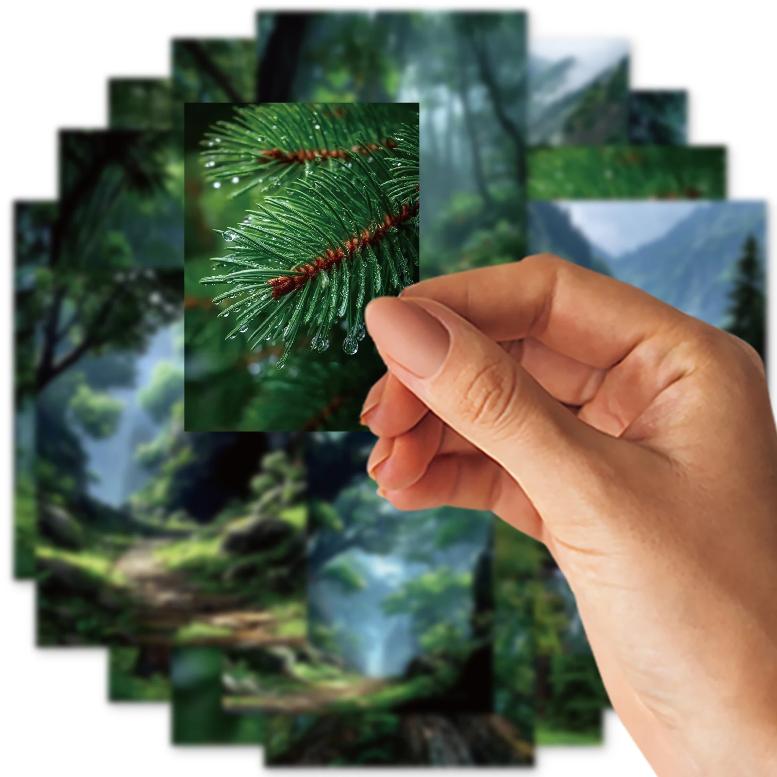 Etori Life Quiet Forest Mounta - مراجعة Outdoor Adventure Books وسعره