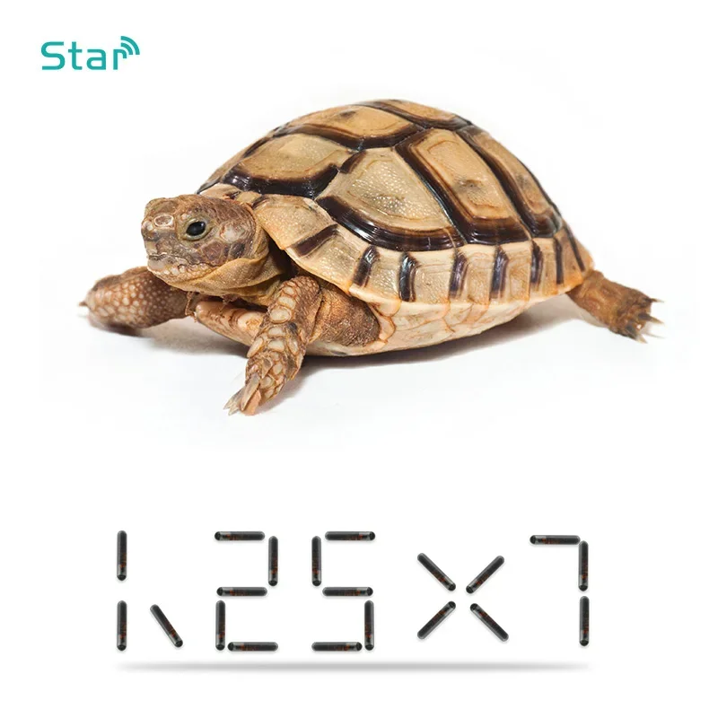 Solo microchip 134.2khz cane pesce iniettabile rfid animale domestico microchip 2.12*12mm 1.4*8mm 1.25*7mm Iso11784/5 Fdx-b Microchip Tag