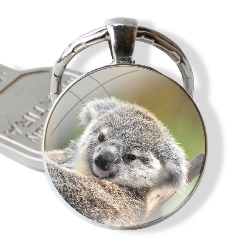 Chaveiros Cabochão para Homens e Mulheres, Bonito Austrlia Koala Art, Chaveiro Cabochão De Vidro, Presente Da Jóia, 25mm