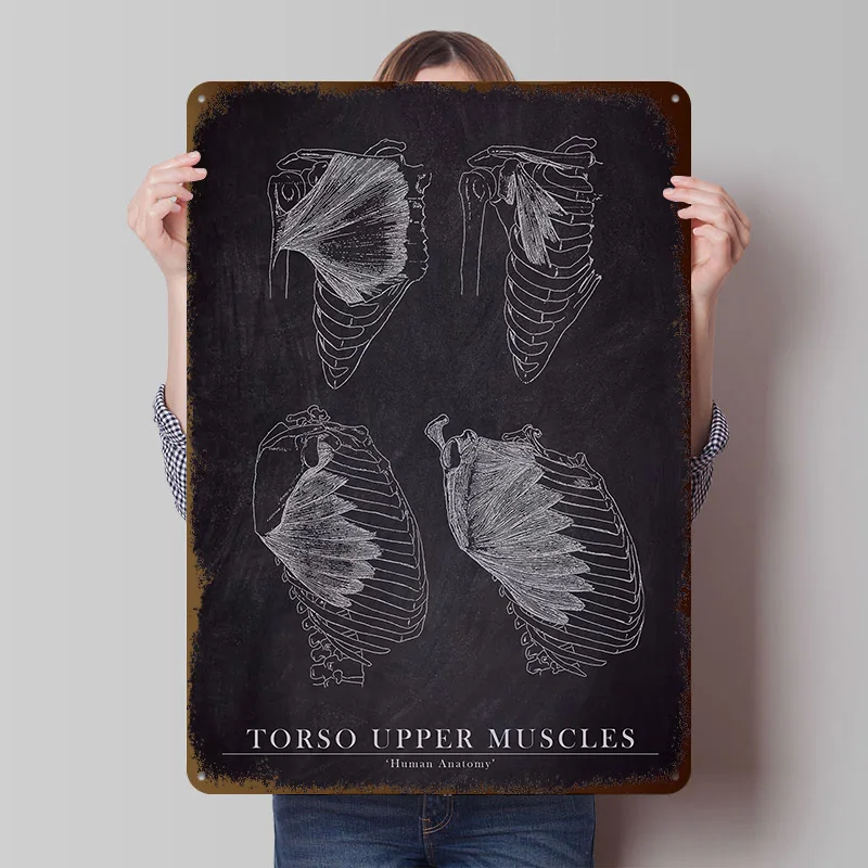 Torso Upper Muscle Anatomy Tinplate Posters Customizable Wall Art Retro Vintage Metal Signs for Home Room Decoration Garage Cozy