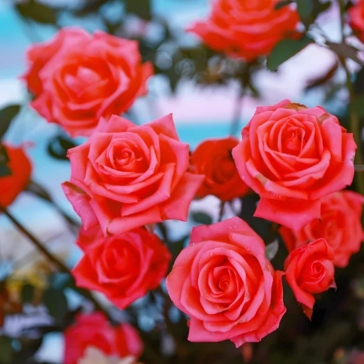 

Дополнительная оплата, только для оплаты остатка заказа, дополнительные сборы, возврат средств покупателю, не включает какой-либо продукт, не отправляется