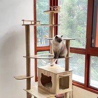 Cat Climbing Frame Bed Scratching Board Tree Space Capsule Pet Toy Supplies Accessories Multi-layer with Hammock