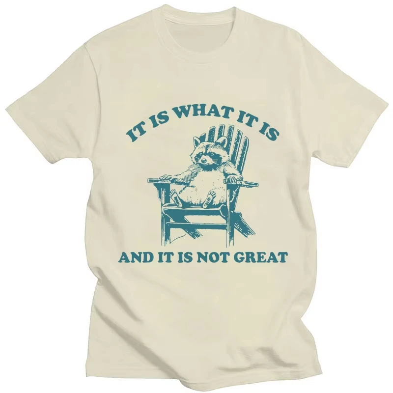 Grappige Opossum populaire tshirt het is wat het en het is niet geweldig wasbeer Meme T-shirt Unisex mode katoen casual korte mouw