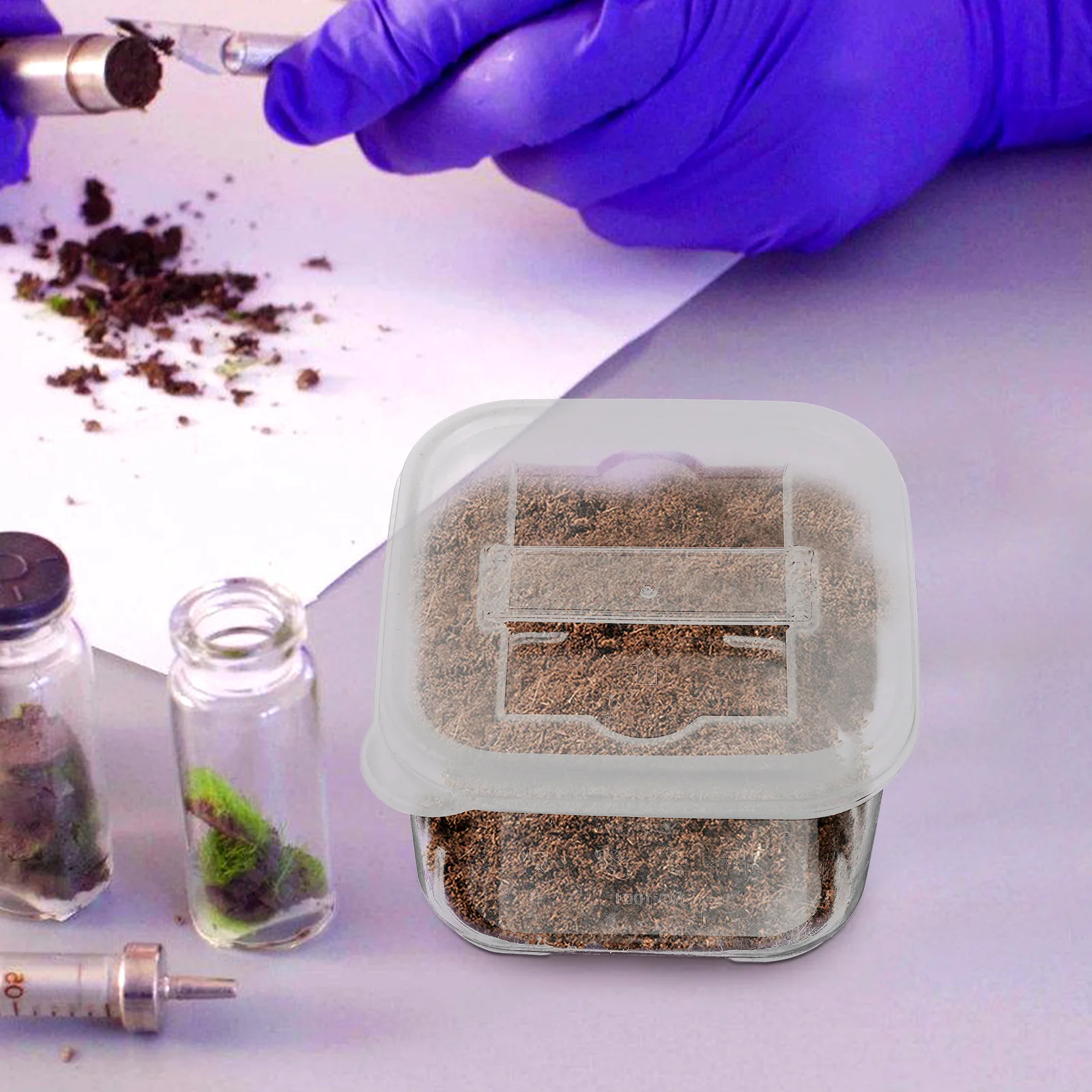 4 Buah Kotak Sampel Lab Wadah Plastik Mini Transparan Tahan Lama dengan Tutup dan Klip Label untuk Penyimpanan Sampel Makanan dan Tanah